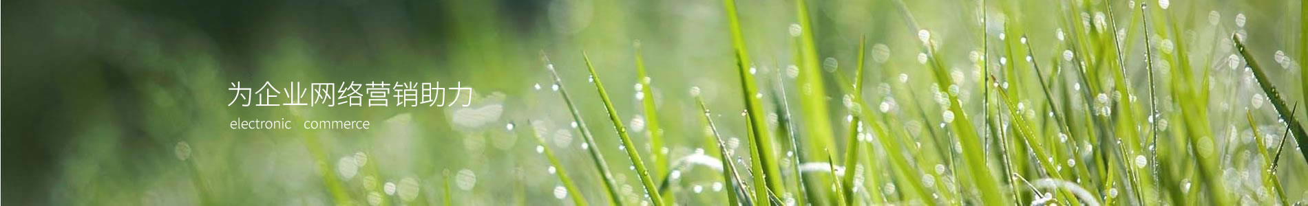 Ϸʲ֮Ƽ޹˾